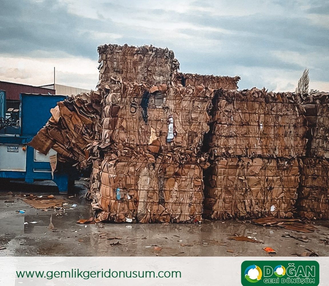 Anasayfa 13 gemlik-geri-donusum-dogan-geri-donusum gemlik geri donusum dogan geri donusum5 min gemlik-geri-donusum-dogan-geri-donusum